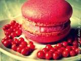 Macarons chèvre, betterave et baies roses de Madagascar