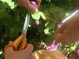 Atelier Jardin et Cuisine