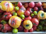 Pulpe ou purée de tomates maison, rapide et facile