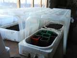 Premiers travaux au jardin