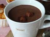 Poudre à chocolat chaud aux épices home made