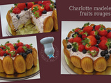 Charlotte de madeleines et mousse de fruits rouges
