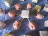 Lollipop à la guimauve et au pamplemousse