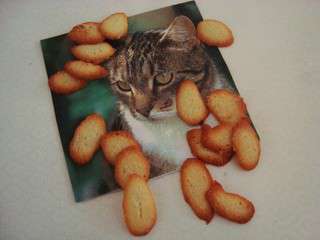 Langues de chat à la noix de coco