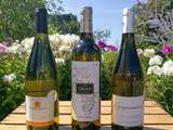 Sélection de vins blancs pour l'été