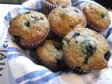 Muffins bleuets et graines de citrouille