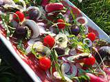 Carpaccio de Boeuf et sa Verdure