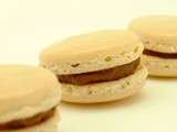 Macarons aux spéculoos