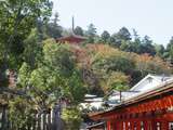 Japon-Île de Miyajima-l'Île au 500 Statues de Bouddhau
