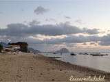 Beach Shack - Flic en Flac - Ile Maurice