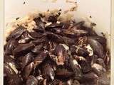 Moules marinières .... souvenir de Bretagne ;-)