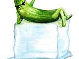 Cool As Cucumber