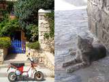 Anaïs voyage dans son assiette en Grèce #2 croisière à la voile dans le Golf Saronique