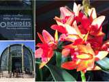Expo & un resto : mille et une orchidées et le restaurant de la Grande Mosquée de Paris