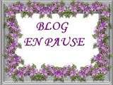 Blog en Pause