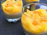 Panna cotta légère au yaourt, carpaccio de mangue et coulis mangue-ananas