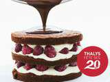 Gâteau pour les 20 ans du Thalys