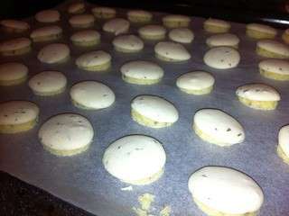Anis bredele ou petits gâteaux de Noël à l'anis version 2
