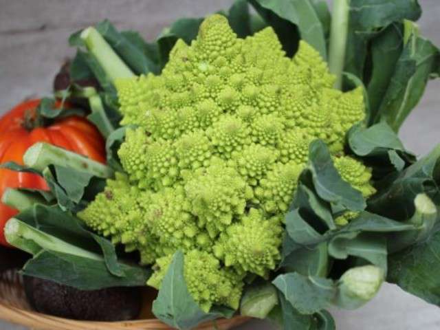 Recette Chou Romanesco Facile Les Recettes De Chou Romanesco Les Plus