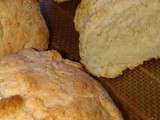 Petits pains express sans pétrissage ail huile d'olive