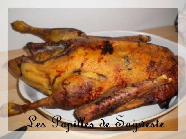 Les Meilleures Recettes d'Oie et Oie farcie