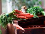 Comment choisir et cuisiner les carottes