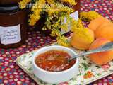 Confiture rhubarbe abricots