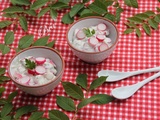 Salade de radis sauce tzatziki