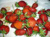 Panacotta semoule-fraises
