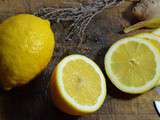 Célébrons le citron pour le Carnaval de Menton