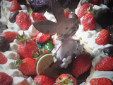 Easter Bunny Cake : le lapin de Pâques à croquer