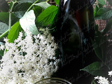 Huile aromatisée à la fleur de sureau noir
