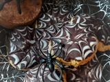 Spiderweb Cook'halloween : les cookies effrayants