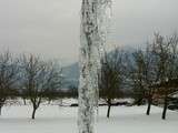 Soupe d'hiver