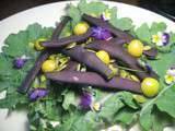 Salade de haricots violets sur lit de kale