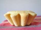 Brioche rapide