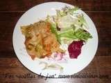 Lasagne aux légumes - Recette facile de cuisine |