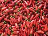 Acras de saumon fumé au piment d’Espelette