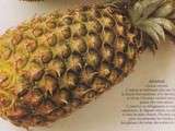 Ananas en mille-feuilles, crème de coco