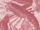 Homard en camaïeu de saveurs exotiques