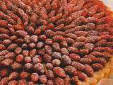 Tarte fine aux fraises des bois et beurre d’Isigny