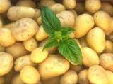 Croque pommes de terre