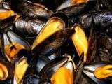 Moules marinieres au thermomix