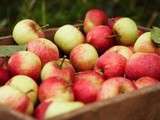 Poelee de pommes aux epices
