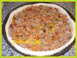 Quiche au thon et aux légumes