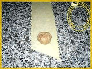 Samsa à la pâte maison