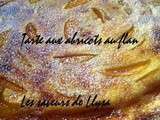 Tarte aux abricots au flan