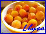 Tarte aux mirabelles et au fromage blanc