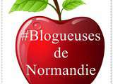 Premiere confrerie cybernetique de blogueuses de Normandie
