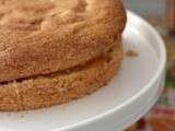 Gateau de Savoie fourré au Fruit à tartiner à la Pêche Andros